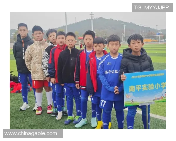 南京足球队在全国耐力排行榜中荣获第五名展现出强大实力与潜力