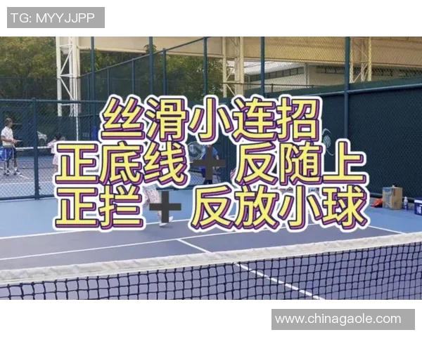 北京网球队反击体系解析与战术运用探讨