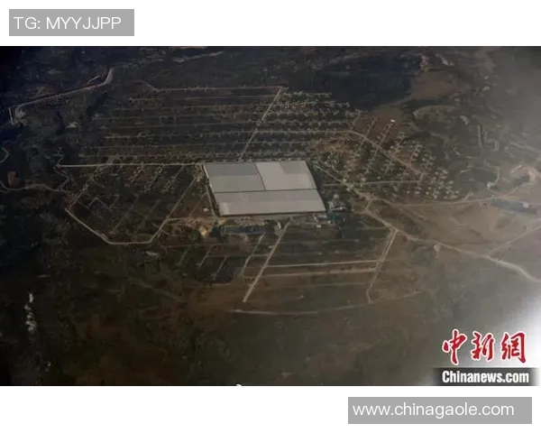 重磅专题：探索杭州飞盘队如何引领控制革新与战术变革之路