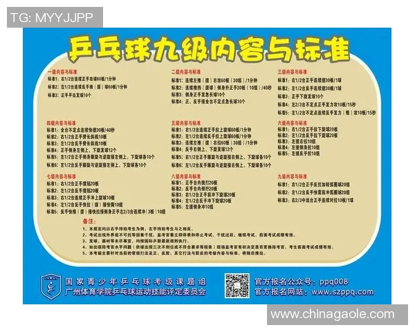 从零起步打造乒乓球团队协作的全面指南与实战技巧分享