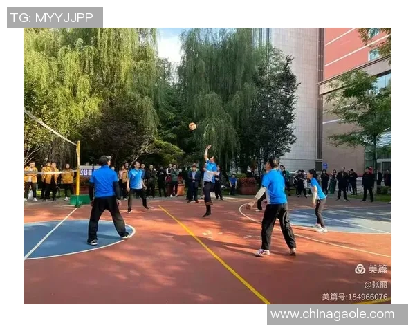 专访赵军：探寻排球背后的成功秘诀与团队精神