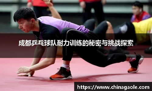 成都乒乓球队耐力训练的秘密与挑战探索