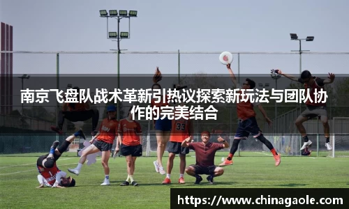 南京飞盘队战术革新引热议探索新玩法与团队协作的完美结合