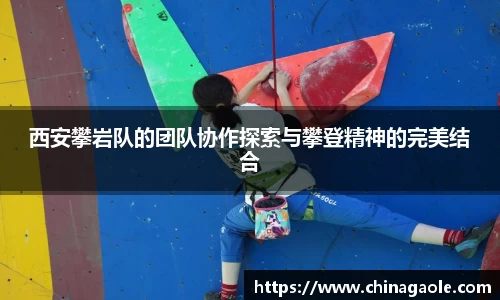 西安攀岩队的团队协作探索与攀登精神的完美结合