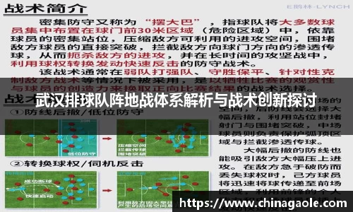 武汉排球队阵地战体系解析与战术创新探讨